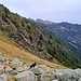 Artus auf der Alp Catégn.