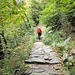 wir wandern schnell weiter