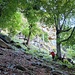 auf der Wegsuche