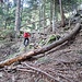 auch wenn mal was im Weg liegt, der Weg findet sich letztlich doch