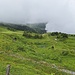 Abstieg in Richtung Schwarzwaldalp