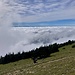 ... und mächtig viel Nebel überm Mittelland