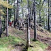 ... auf dem Weg zum Gipfelchen