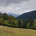 Wiesen und Wald im Wechsel...