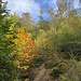 doch leicht herbstlich bleibt es