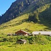 Die Alpe Garnera