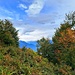 Ambiente am am Fusse des Monte Gambarogno.