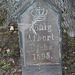 Schirgiswalde, König-Albert-Eiche