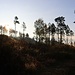 Sonnenschein an der Flanke der Kälbersteine