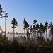 Nebeloberkante