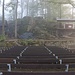 Waldbühne Sohland