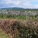 Felsen westlich von le Chambon am Allier