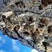 Le mur impressionnant de L4...bien plus roulant que vu du bas !