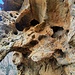 Gaudi n'aurait pas renié