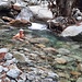 10° au jugé. Bah l'Aar descend à 6° l'hiver