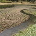 Lagune