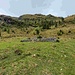 Numerosi in questo pendio questi muri a secco, forse dei vecchi paravalanghe?