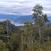 Alto Verbano