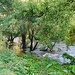 Alagnon führt recht viel Wasser