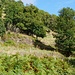 Abstieg nach Ferrières *