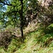 Unterhalb der Felsen ging es lang *