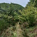 Weg in Richtung Wasserfall *
