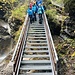 ... auf welcher sich hier 8 der Kili's präsentieren