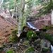 im Wald oberhalb von Laveissière