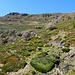 auf dem Weg zum Refuge de Meije Coste *