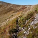 Weg in den Monts du Cantal