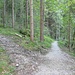 Links im Bild ist der Abzweig Pfad-/Steigspur zum Klettergarten Schaffelberg