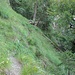 Pfad-/Steigspur vom Klettergarten Schaffelberg<br />