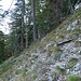 Geländeabsatz an Einstiegsstelle vom ersten Westkamm Schaffelberg/Klettergarten