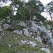 Aufstieg weiterer Wegverlauf vom ersten Westkamm Schaffelberg/Klettergarten