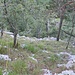 Rückblick Aufstieg Wegverlauf vom ersten Westkamm Schaffelberg/Klettergarten 