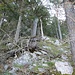 Ausgesetzter Geländeverlauf im ersten Westkamm Schaffelberg/Klettergarten 