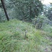 Rückblick Aufstiegsgelände im ersten Westkamm Schaffelberg/Klettergarten