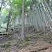 Weiterer Wegverlauf im ersten Westkamm vom Schaffelberg 