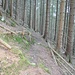 Der erreichte Querpfad der zur MTU- Hütte führt