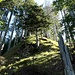 Weiterer Aufstieg zweiter Westkamm vom Schaffelberg 