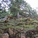 Weiterer Aufstieg mit Stelle I/UIAA am zweiten Westkamm vom Schaffelberg 
