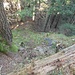 Rückblick zweite Aufstiegsstelle I/UIAA am zweiten Westkamm vom Schaffelberg 