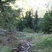 Rückblick auf Aufstiegsgelände zweiter Westkamm vom Schaffelberg 