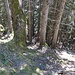 Abstieg vom Wandfuß Gipfel Schaffelberg in Scharte zum Laber - Massiv