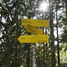 DAV- Wegweiser an der Abzweigung zur der Route 141 (Routen- Nr. nach AVF Ammergauer Alpen)