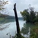 Am Wohlensee.<br /><br />