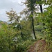Von Oberei aus steigen wir wieder zum Wohlensee hinab.<br /><br />