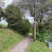 Uferweg, jetzt wieder der Aare entlang.<br /><br />