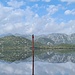 Die Markierungsstangen dienen den Kormoranen als Aussichtswarten 