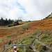 Herbstfarben